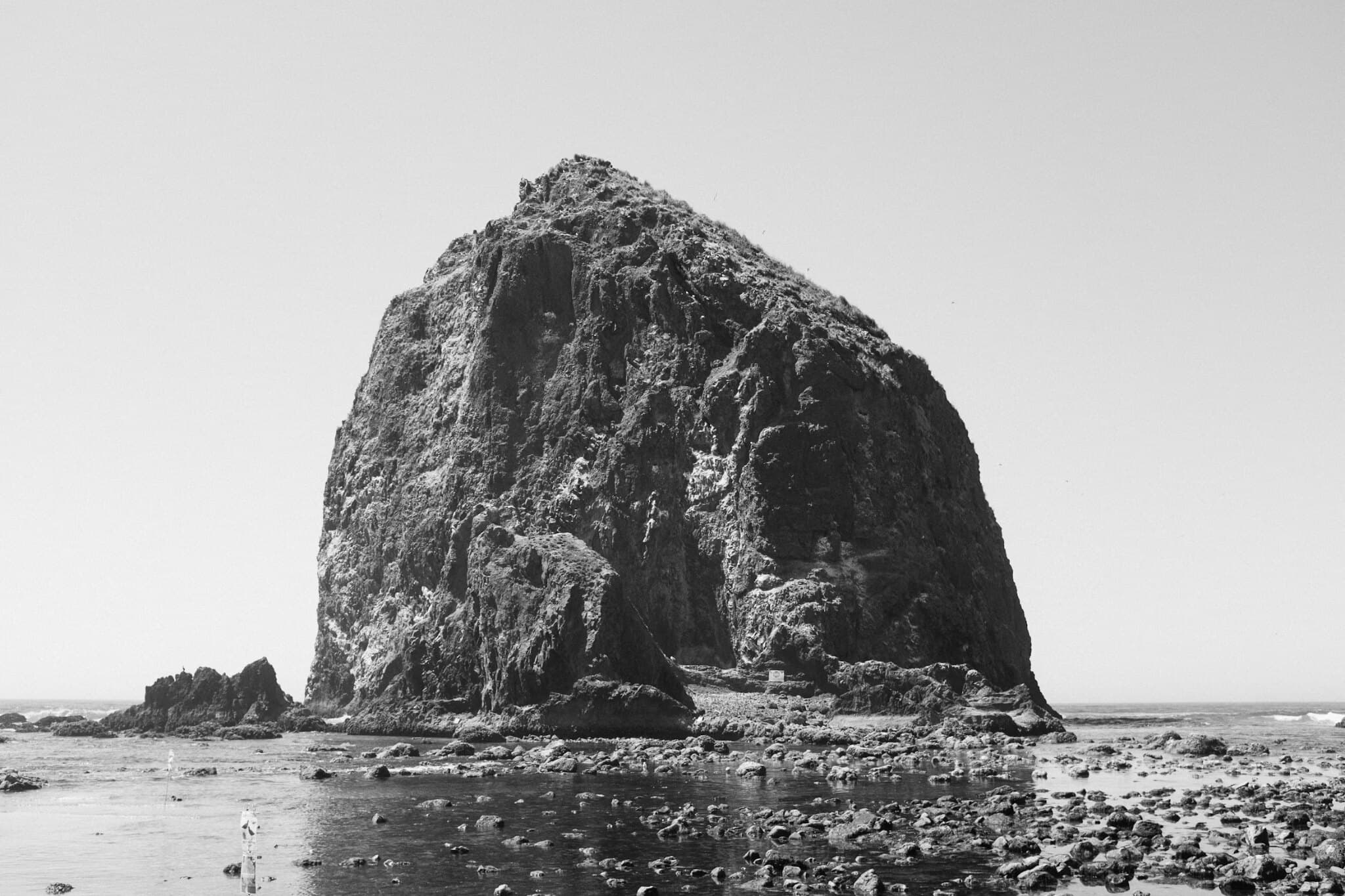 Sea stack on the Oregon coast